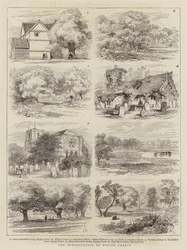 La conservazione della foresta di Epping